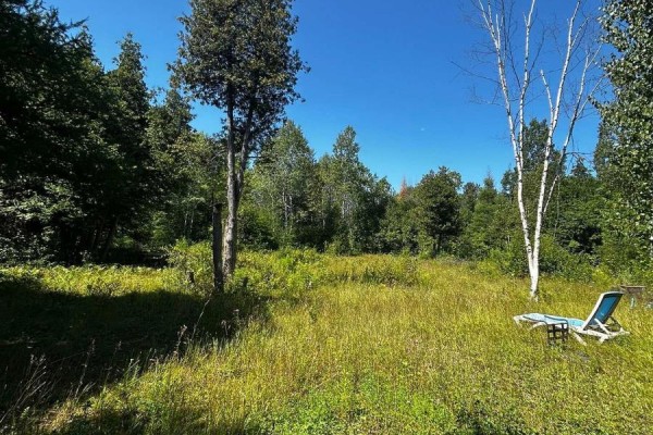 An open, grassy area with scattered trees and a blue lounge chair in the corner. - 00 Kerford Road, Merrickville Wolford