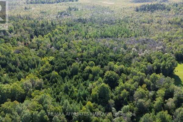 An aerial view of a vast, dense forest with varied shades of green trees under a blue sky. - 00 Kerford Road, Merrickville Wolford