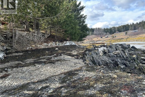 Gravelly beach with seaweed, rocks, and evergreen trees bordering a body of water. - 00 Leslie Harbour Lane, Leonardville