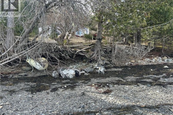 Shoreline with scattered rocks, seaweed, driftwood, and trees. A small building is visible inland. - 00 Leslie Harbour Lane, Leonardville