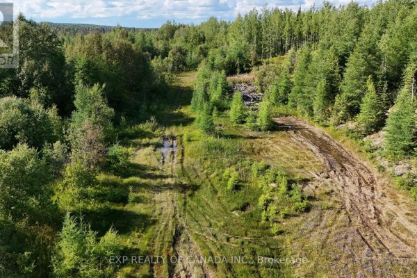 Pt Lt 24 Con 3 Blount Township, Cochrane, ON, photo 3