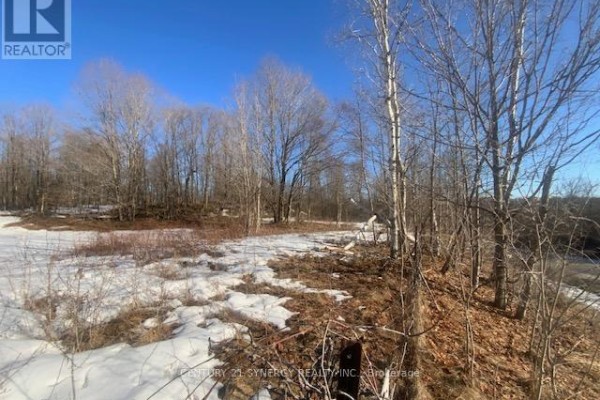 00 Lot 1 County  Rd 10 Road, Rideau Lakes, ON, photo 2