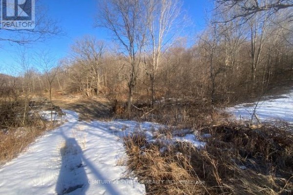 Wooded land with patchy snow and a clear blue sky above the trees. - 00 Lot 1 County  Rd 10 Road, Rideau Lakes