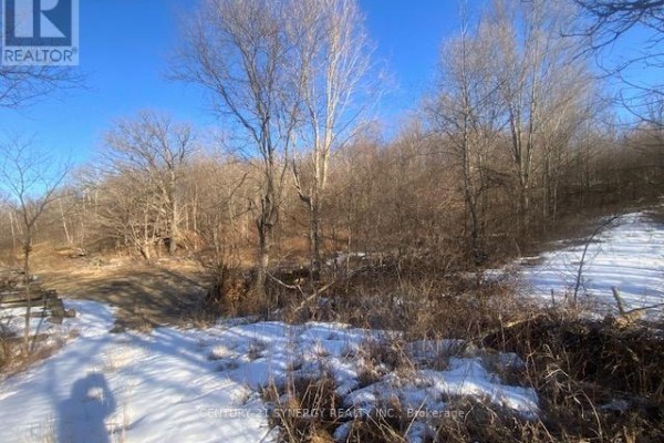A wide dirt path leads into a wooded area with snow on the ground and bare branches. - 00 Lot 2 County10 Road, Rideau Lakes
