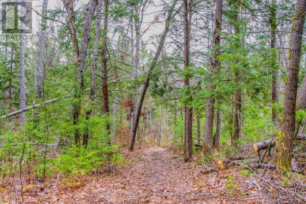 00 Lower Craigmont Road, Madawaska Valley, ON K0J1L0 Photo 3