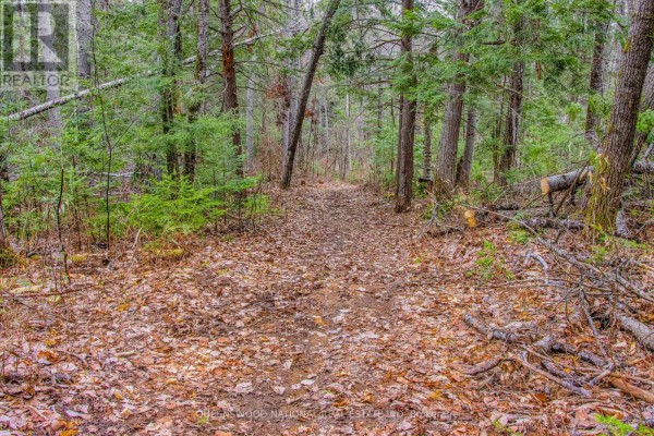 00 Lower Craigmont Road, Madawaska Valley, ON K0J1L0 Photo 4