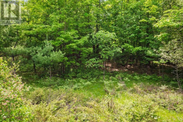 00 Maple Street, Lanark Highlands, ON K0G1M0 Photo 4