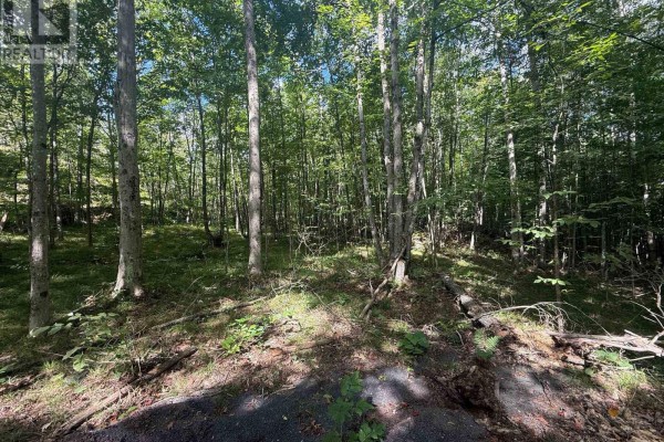 00 Middle Lot Highway 62, Madoc, ON K0K2K0 Photo 4
