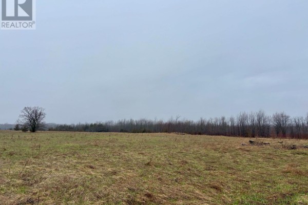 00 Mitchells Cross Road, Prince Edward County, ON K0K2T0 Photo 4