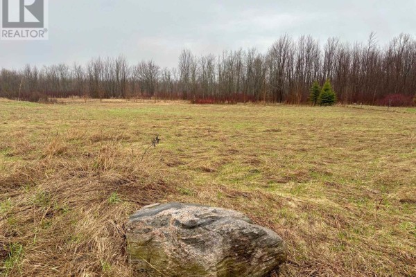 00 Mitchells Cross Road, Prince Edward County, ON K0K2T0 Photo 5