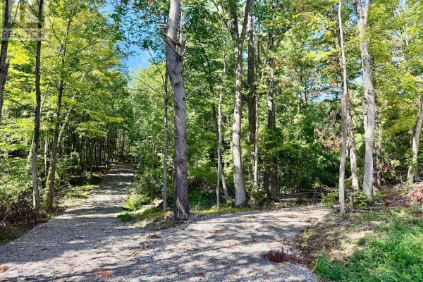 00 North Lot Highway 62, Madoc