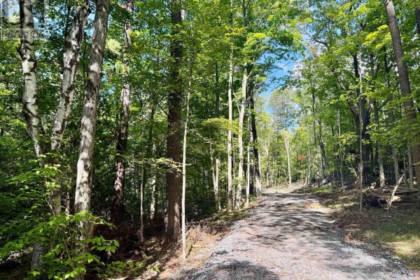 00 North Lot Highway 62, Madoc, ON K0K2K0 Photo 2