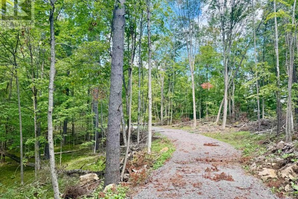 00 North Lot Highway 62, Madoc, ON K0K2K0 Photo 3