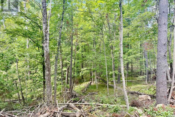 00 North Lot Highway 62, Madoc, ON K0K2K0 Photo 4