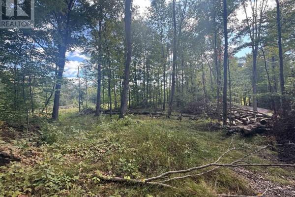 00 North Lot Highway 62, Madoc, ON K0K2K0 Photo 5