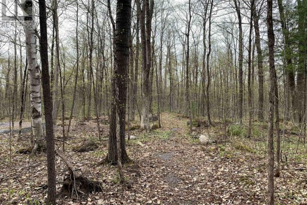 00 O'toole Road, Ottawa, ON, photo 2