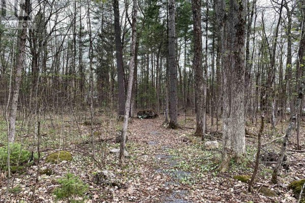 00 O'toole Road, Ottawa, ON, photo 3