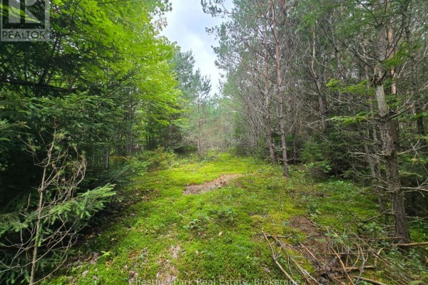 00 Old Track Road, Perry, ON P0A1J0 Photo 2