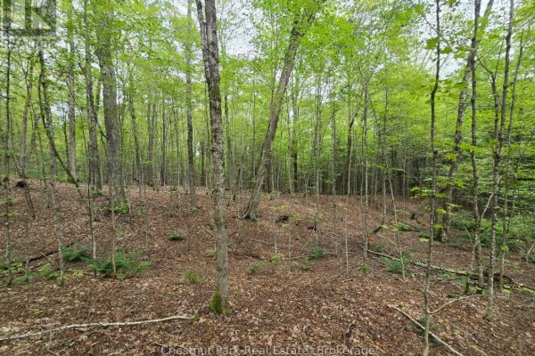 00 Old Track Road, Perry, ON P0A1J0 Photo 3