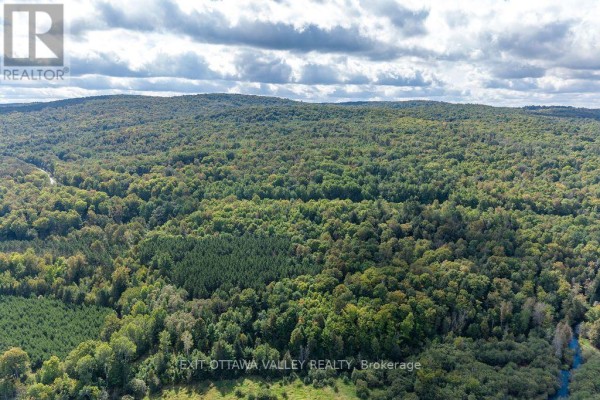 00 Opeongo Road, Bonnechere Valley, ON K0J1T0 Photo 3