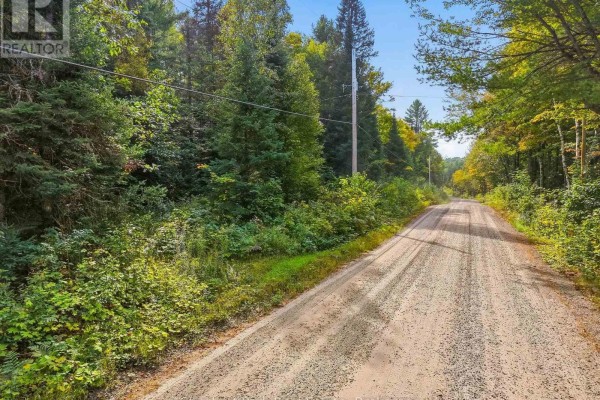 00 Paint Lake Road, Lake Of Bays, ON P0B1A0 Photo 2