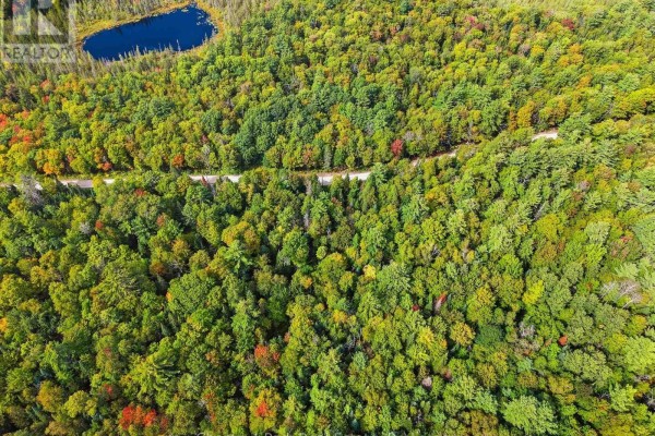 00 Paint Lake Road, Lake Of Bays, ON P0B1A0 Photo 3