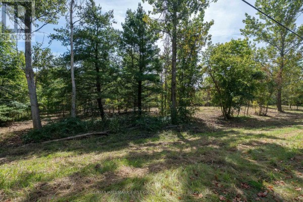 00 Palace Road, Greater Napanee, ON K7R3L2 Photo 4