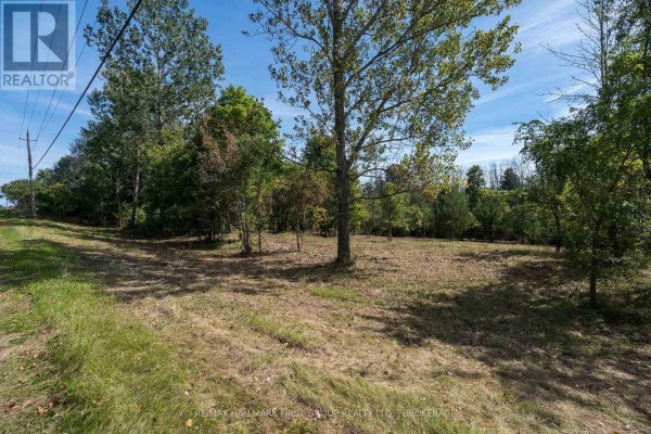00 Palace Road, Greater Napanee, ON K7R3L2 Photo 5