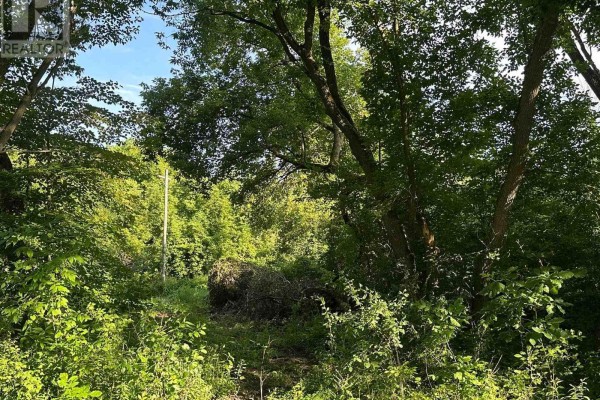 00 Pittston Road, Edwardsburgh/cardinal, ON, photo 2