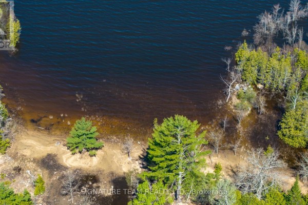 00 Red Ash Trail, Whitewater Region, ON K0J2L0 Photo 5