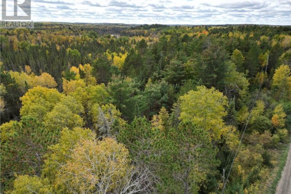 00 Red Deer Lake Road North, Wahnapitae, ON P0M3C0 Photo 4