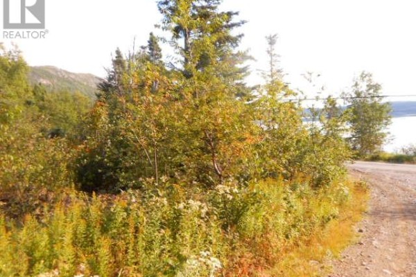 00 Route 391-10, Rattling Brook, NL A0J1H0 Photo 2