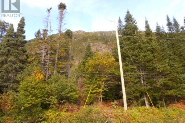 00 Route 391-10, Rattling Brook, NL A0J1H0 Photo 3