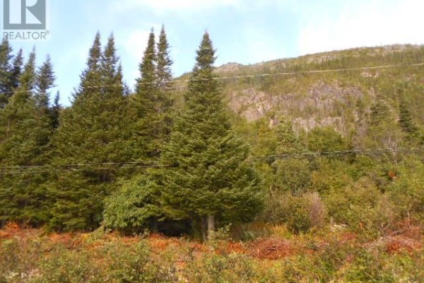 00 Route 391-10, Rattling Brook, NL A0J1H0 Photo 4