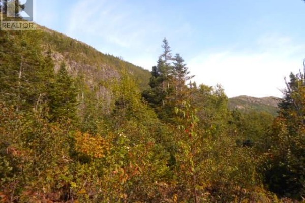 00 Route 391-10, Rattling Brook, NL A0J1H0 Photo 5