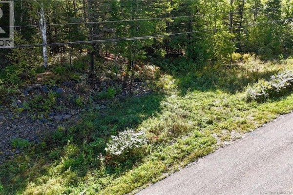 00 Route 745, Oak Hill, NB E5A2E2 Photo 2