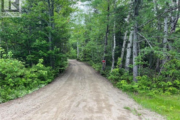 00 Rte 303, Village Des Poirier, NB E8N1P3 Photo 2