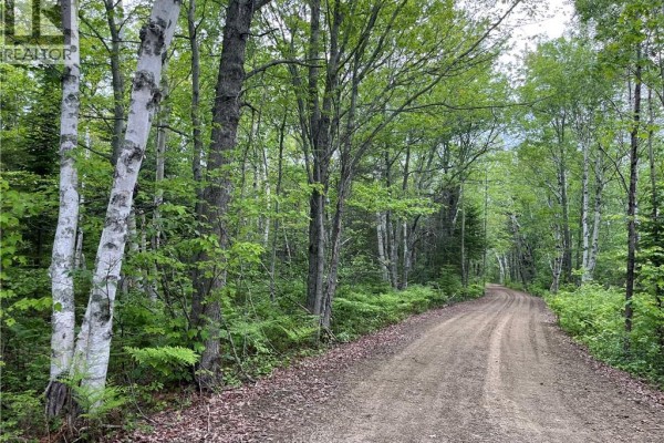 00 Rte 303, Village Des Poirier, NB E8N1P3 Photo 4