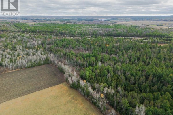 00 Scheel Drive, Mcnab/braeside, ON, photo 3