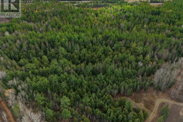 00 Scheel Drive, Mcnab/braeside, ON K7S3G8 Photo 4