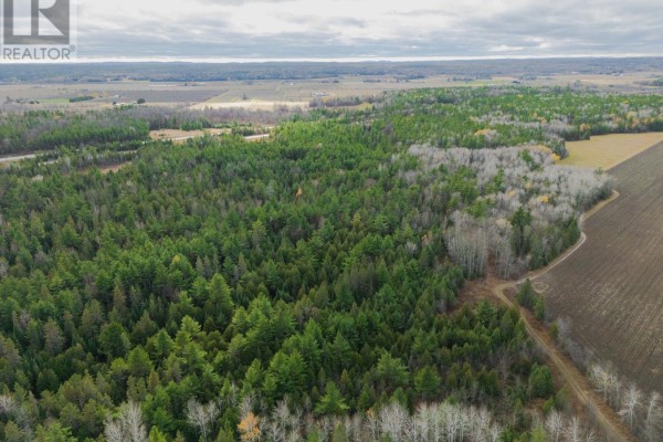 00 Scheel Drive, Mcnab/braeside, ON K7S3G8 Photo 5