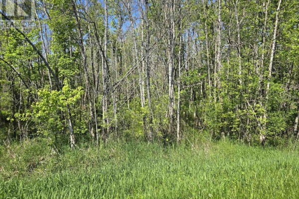 00 Shannonville Road, Tyendinaga, ON K0K1V0 Photo 2