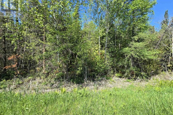 00 Shannonville Road, Tyendinaga, ON K0K1V0 Photo 3