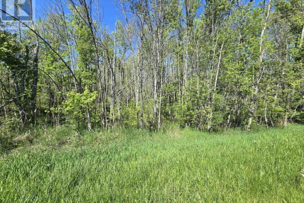 00 Shannonville Road, Tyendinaga, ON K0K1V0 Photo 4
