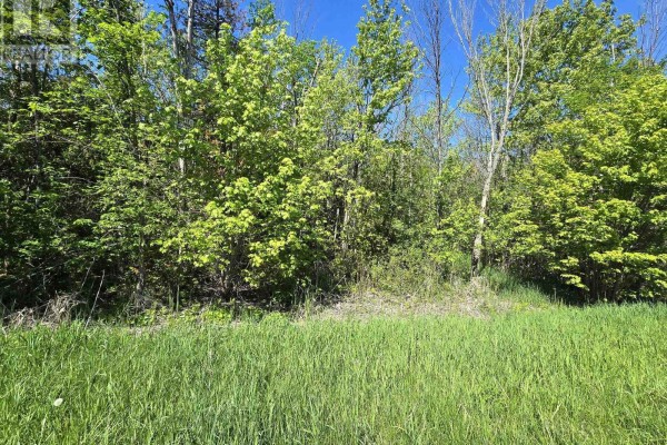 00 Shannonville Road, Tyendinaga, ON K0K1V0 Photo 5