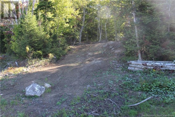 00 Shoreline Drive, Saint John, NB, photo 2