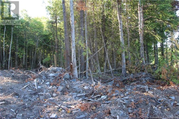 00 Shoreline Drive, Saint John, NB, photo 3