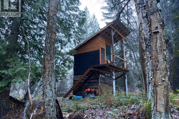 00 Slocan Valley West Road, Slocan Park, BC V0G2E0 Photo 2