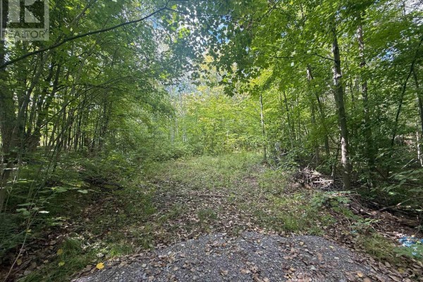 00 South Lot Highway 62, Madoc, ON K0K2K0 Photo 4