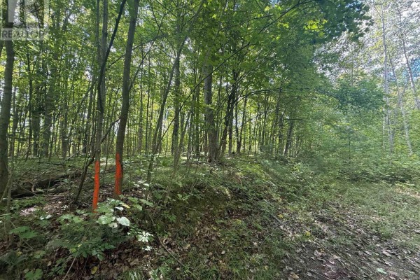 00 South Lot Highway 62, Madoc, ON K0K2K0 Photo 5